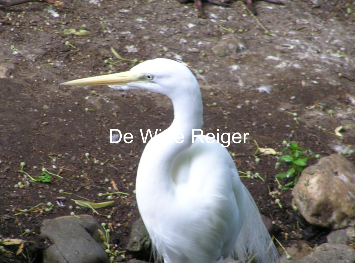 Je bekijkt nu Een presentatie geven