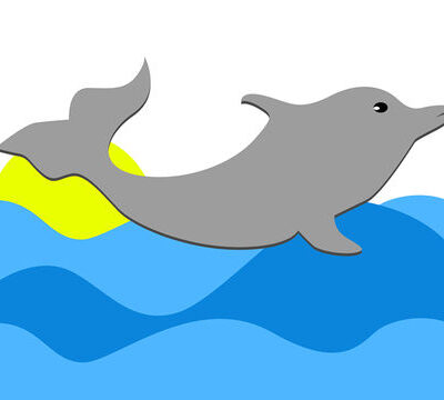 Lees meer over het artikel De Dolfijn met Illustrator