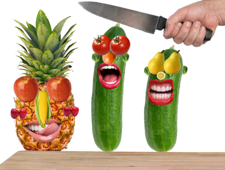 Lees meer over het artikel Photoshop Les 1: Fruithoofd