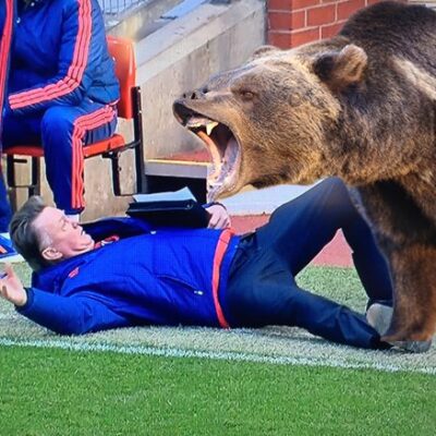 Lees meer over het artikel Doe een Van Gaaltje / Neymar