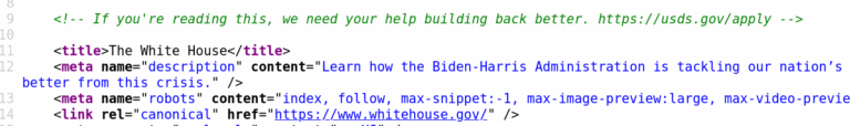 Lees meer over het artikel Biden werft nerds via html source