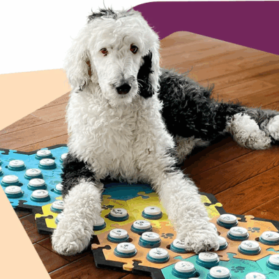 Lees meer over het artikel Bunny the dog talks to mom