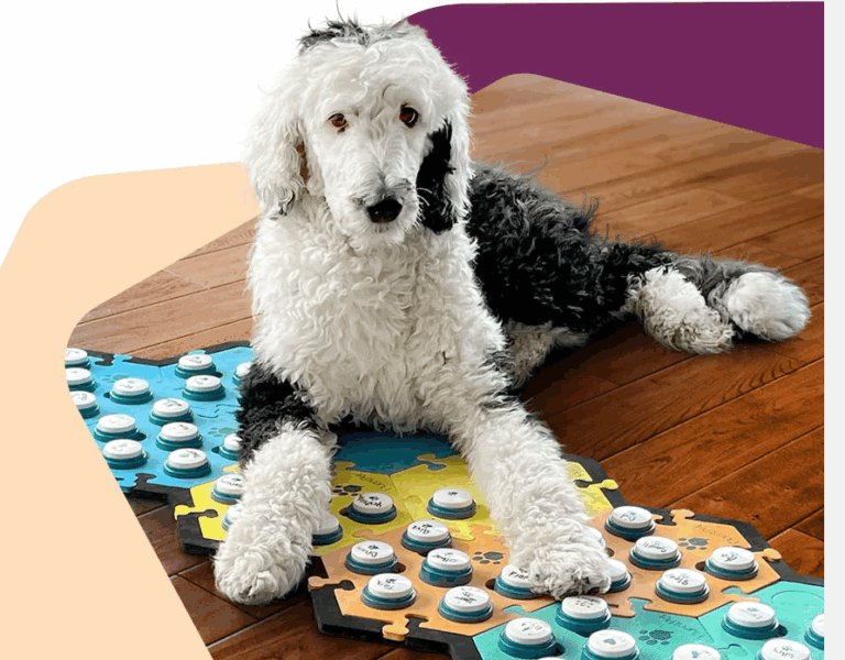 Lees meer over het artikel Bunny the dog talks to mom