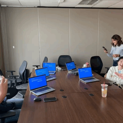 Lees meer over het artikel Blue Screen day of the year