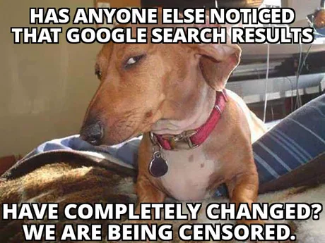 Lees meer over het artikel Google indexeert je website niet meer als standaard