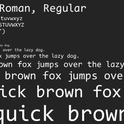 Lees meer over het artikel Custom Font werkend krijgen zonder plugins