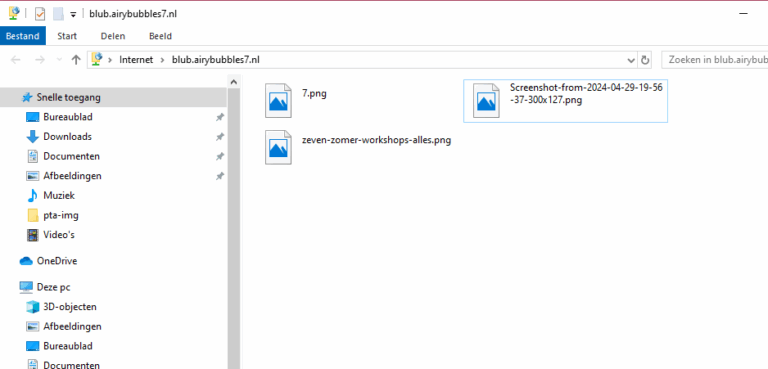 Lees meer over het artikel FTP vanuit Windows Verkenner