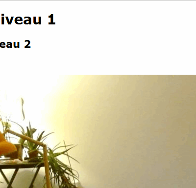 Lees meer over het artikel HTML Starter website – online