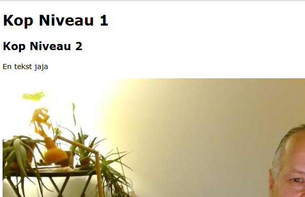 Lees meer over het artikel HTML Starter website – online