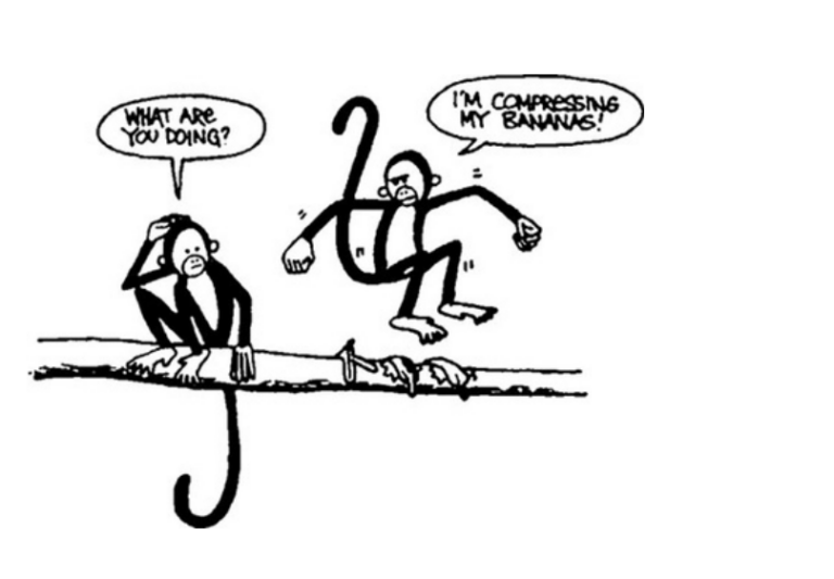 Lees meer over het artikel Examen Casus